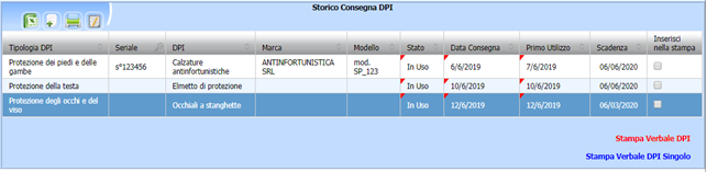 Stampa Verbale DPI o Stampa Verbale DPI Singolo.